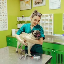 vet assistant with dog